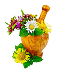 Herbs and flowers in a mortar and table