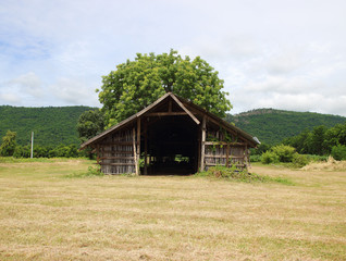 Obraz premium farm on the country