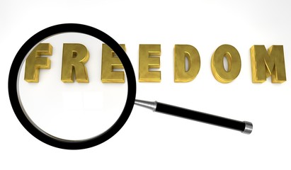 freedom,search