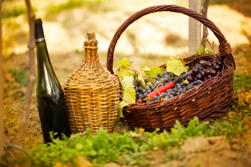 Bottle of wine and grapes in basket