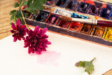 Obraz na płótnie Canvas Watercolor paint box, flowers and brushes for painting