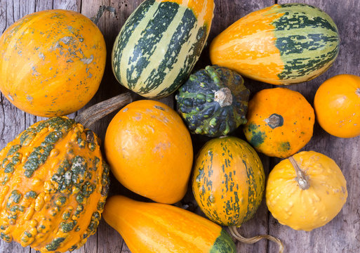 Pumpkins On A Wooden Table , Backrounds