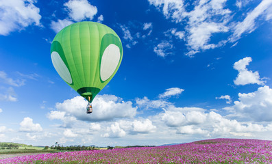 Hot air balloon over cosmos flower fields