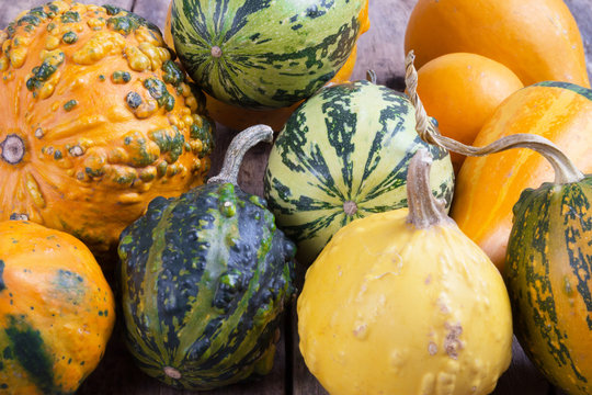 Pumpkins On A Wooden Table , Backrounds