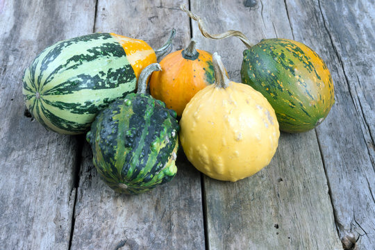 Pumpkins On A Wooden Table , Backrounds