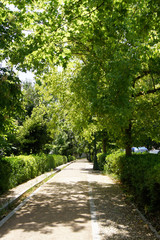 Footpath to the Alhambra