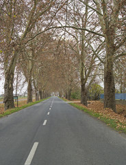 Autumn road