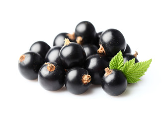 Blackcurrant with leaf