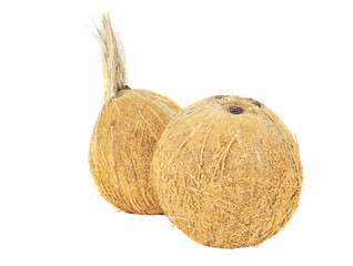 Fresh coconut on white background