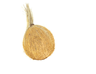 Fresh coconut on white background