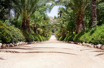 Obraz premium Alley in the garden of the Alhambra