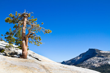 Paysage du Yosemite