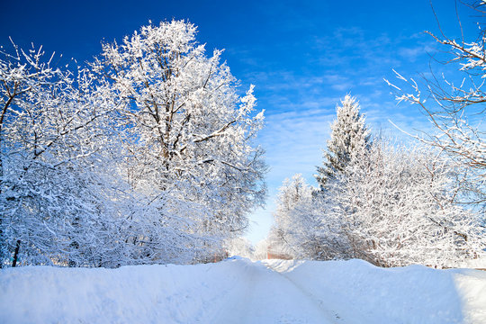 winter landscape with the road