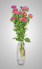 asters bouquet in vase
