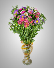 Asters bouquet. Beautiful flowers in vase 