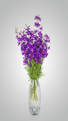 Cornflowers flowers in vase