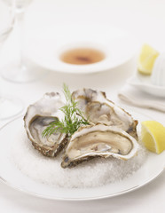 TRIO D' HUITRES
