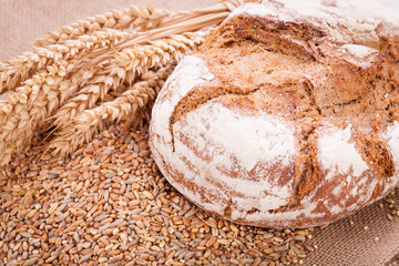 frisch gebackenes knuspriges brot detail