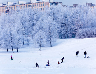 Snowy Winter Landscape