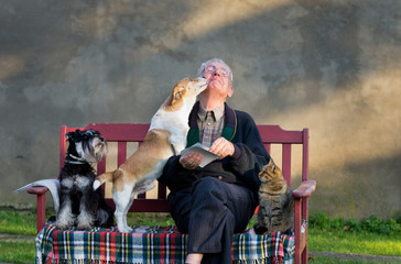 Senior man with dogs and cat on his lap on bench © Budimir Jevtic