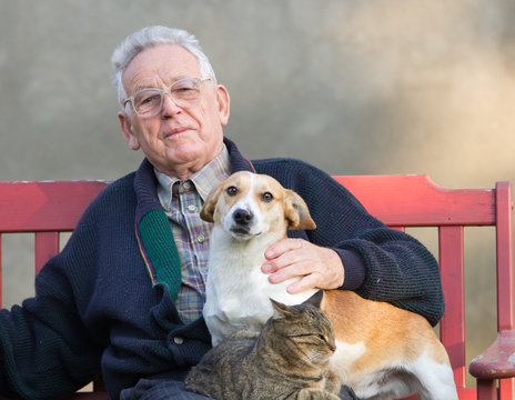 Senior man wirh dog and cat on his lap on bench