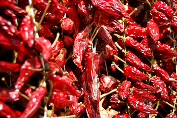 Group of Calabrian chiles