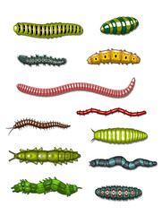 Caterpillars and worms