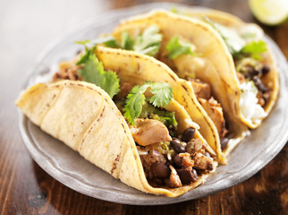 authentic mexican tacos in yellow corn shell with chicken
