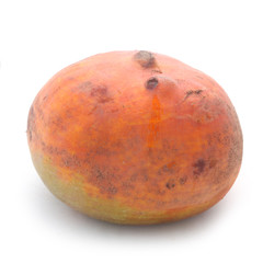 Fototapeta premium Yellow Beet