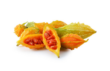 Bitter melon isolated on white background