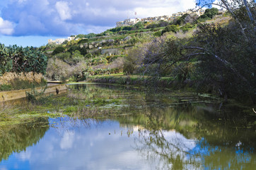 Obraz premium Water reflections