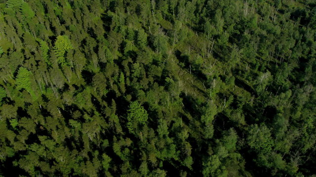 Aerial above view North Delta peat bog, Vancouver