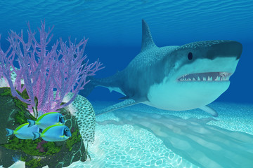 Fototapeta premium Prehistoric Megalodon Shark