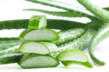 Aloe Vera on white background.