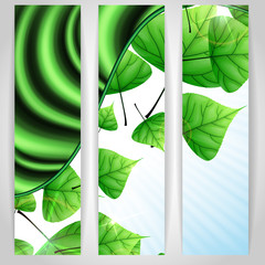 Eco Green Background With Leaves.