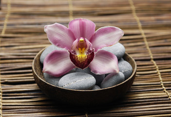 Obraz na płótnie Canvas Bowl of gorgeous orchid with gray stones on bamboo mat