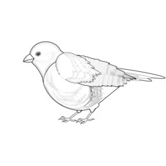 A monochrome sketch of titmouse