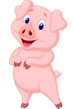 Cute pig cartoon posing