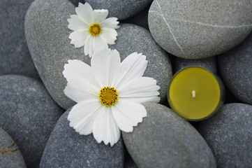 candle and two white flower on gray pebbles