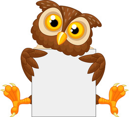 Fototapeta premium Cute owl cartoon holding blank sign