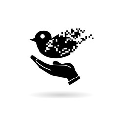 a bird flying over hand, peace, social media concept