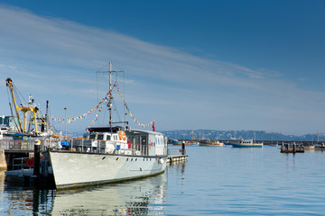 Brixham marina Devon with large Torbay England UK