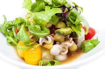 restaurant dish salad of octopus and greens and vegetables