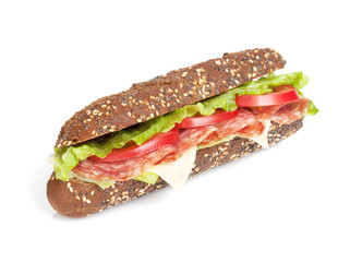 Fresh sandwich with meat and vegetables
