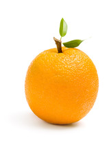 Close up of an orange, isolated on white