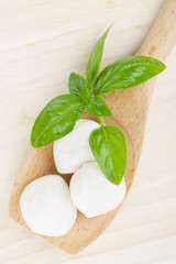 Mozzarella and basil