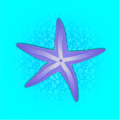 Sea Star
