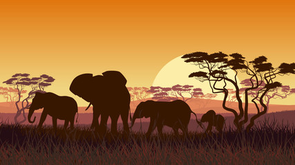 Horizontal illustration of wild animals in African sunset savann