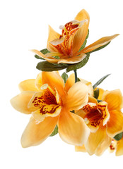 Fototapeta premium artificials