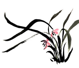 orchid © ChenPG